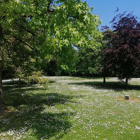 Ibis Styles Tours Sud Hotel Chambray-les-Tours Luaran gambar